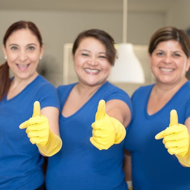 Cleaning ladies working in team